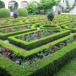 garden hedge maze with flowers