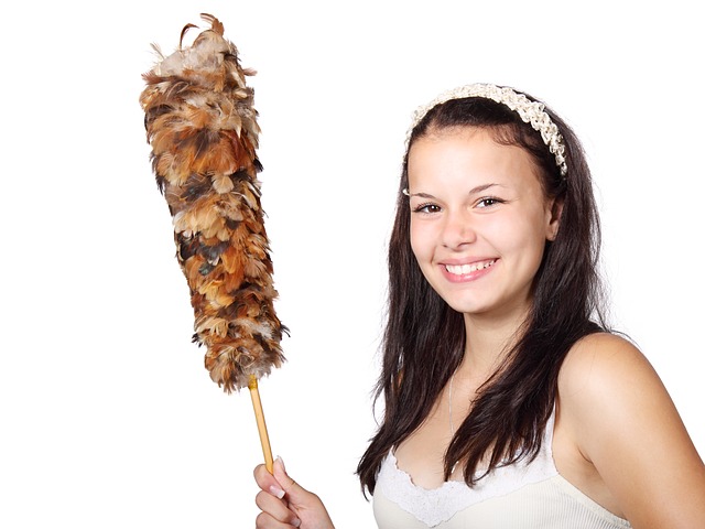 Housewife holding a feather duster