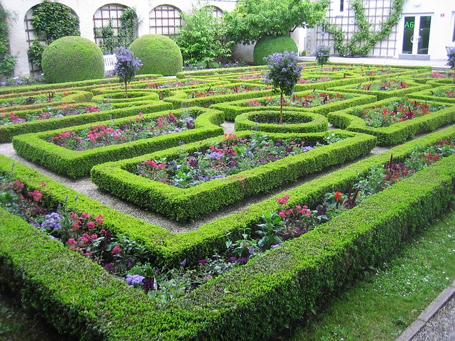 garden hedge maze with flowers